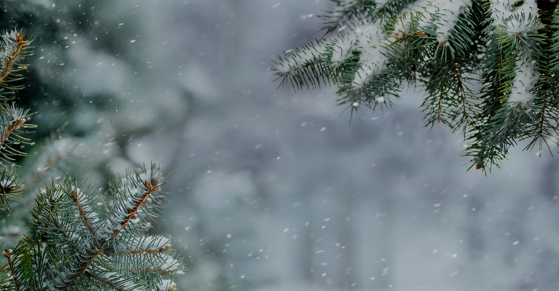 Superga: Accès anticipé aux soldes d'hiver Inscrivez-vous pour bénéficier de votre réduction exclusive