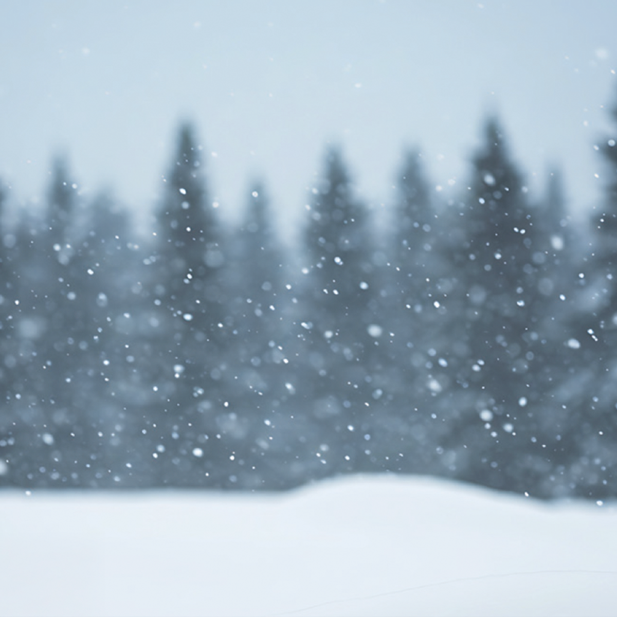 Superga: Winter Sale A special selection for your winter