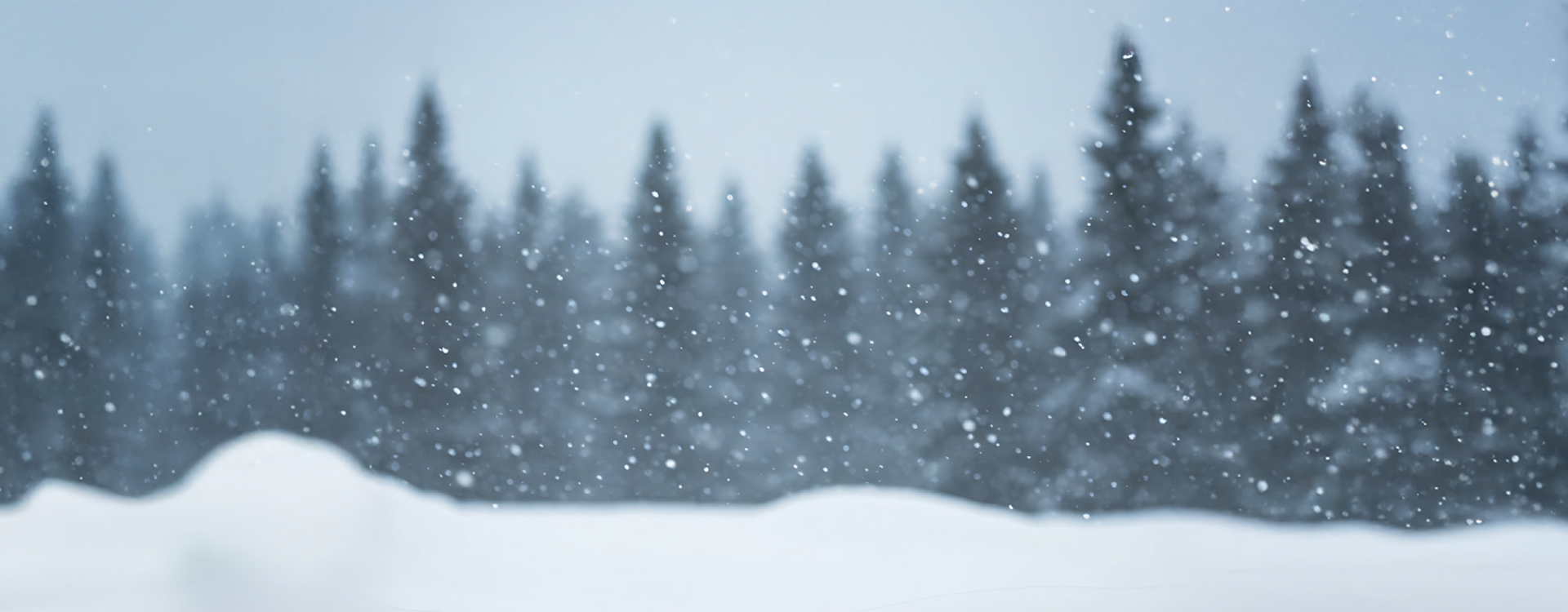 Superga: Winter Sale A special selection for your winter